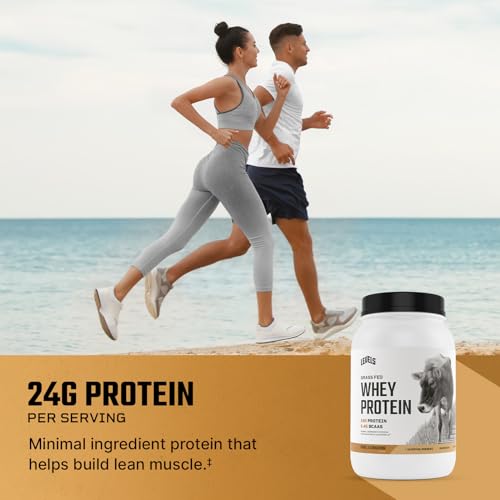 Levels Grass Fed Whey Protein Powder, No Artificials, 24G of Protein, Vanilla Cinnamon, 2LB