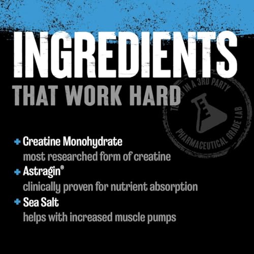 Animal Creatine Chews Tablets - Enhanced Creatine Monohydrate with AstraGin to Improve Absorption, Sea Salt for Added Pumps, Delicious and Convenient Chewable Tablets - Fruit Punch