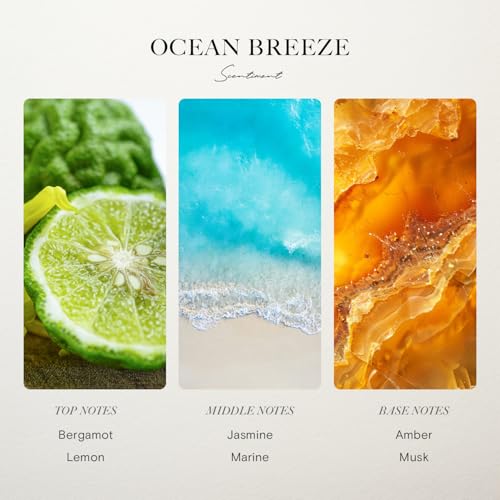 Hotel Diffuser Oil | Aromatherapy Fragrances Inspired by 5-Star Hotels | Luxurious Scents with Notes of Cardamom, Tuscan Leather, and Sandalwood (20ml, Top 3 Scents)