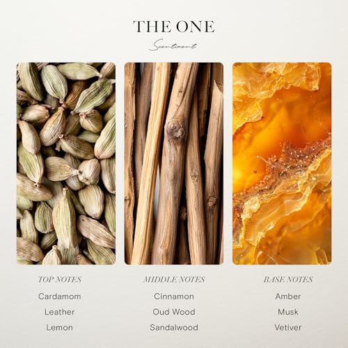 Hotel Diffuser Oil | Aromatherapy Fragrances Inspired by 5-Star Hotels | Luxurious Scents with Notes of Cardamom, Tuscan Leather, and Sandalwood (20ml, Top 5 Scents)