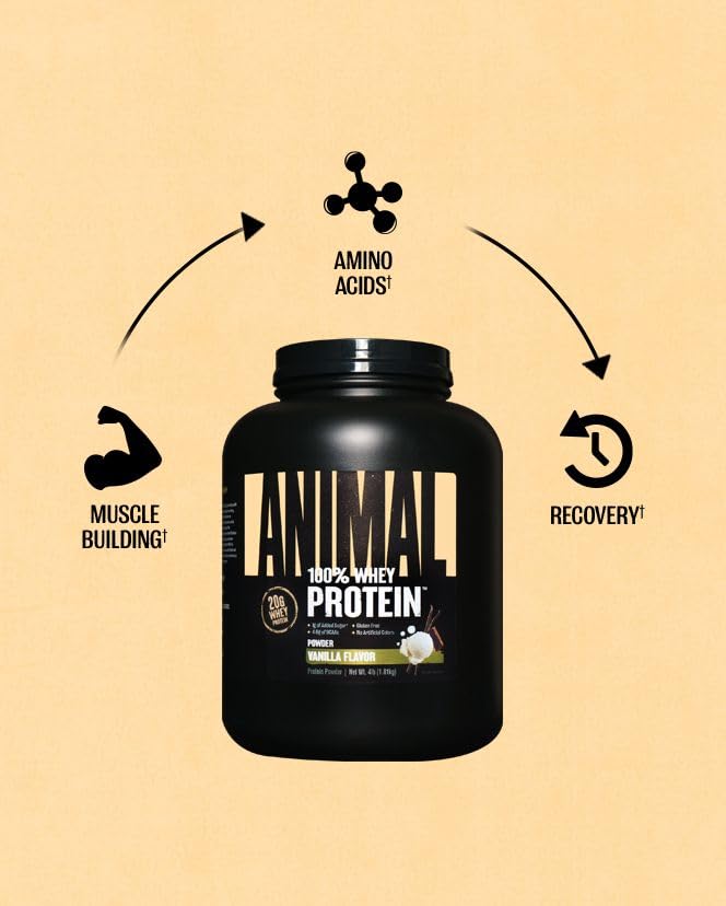 Animal 100% Whey Protein Powder – Whey Blend for Pre- or Post-Workout, Recovery or an Anytime Protein Boost– Low Sugar – Vanilla, 4 lb