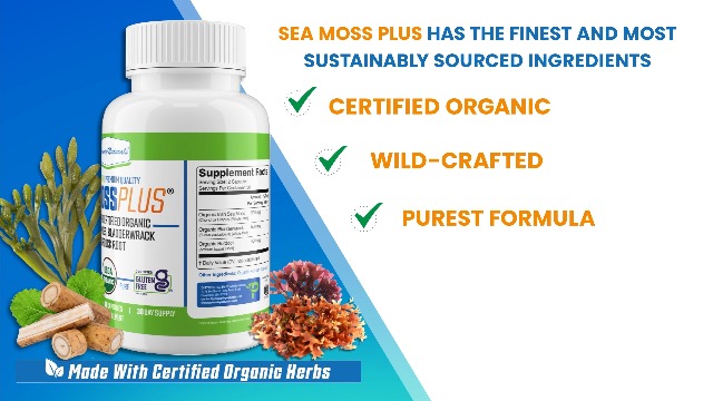 Power By Naturals Sea Moss Plus - USDA Certified Organic Wildcrafted Irish Seamoss, Bladderwrack & Burdock Root, Supplement for Immunity, 60Ct, 2 Pack