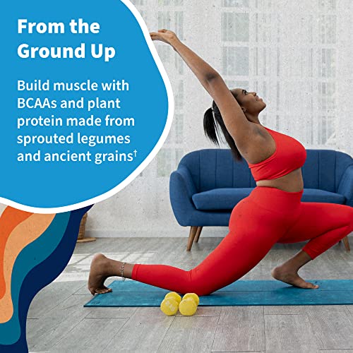 Organic Vegan Vanilla Protein Powder - Garden of Life – 22g Complete Plant Based Raw Protein & BCAAs plus Probiotics & Digestive Enzymes for Easy Digestion – Non-GMO, Gluten-Free, Lactose Free 1.5 LB