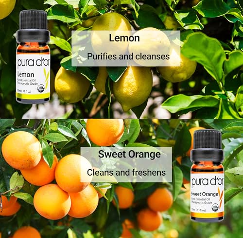 PURA D'OR Organic Perfect10 Essential Oils Set - 10x 10mL Wood Box Aromatherapy Gift Set - 100% Pure Therapeutic Grade for Relaxation and Wellness (Lavender, Peppermint, Eucalyptus, Tea Tree & More)
