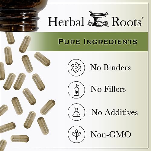 Herbal Roots Black Elderberry Capsules | Max Strength 4,300mg | Made with Organic Sambucus | Vegan and Pure