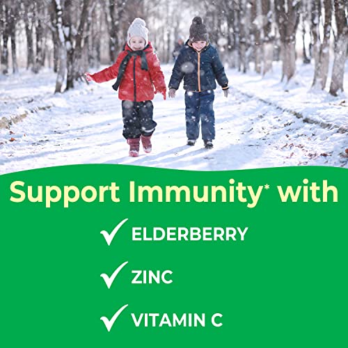 Kids Elderberry With Zinc and Vitamin C - Immune Support Supplement Chewable Tablets - Tasty Natural Mixed Berry Flavor - Vegan, Vegetarian, Gluten Free, Non-GMO, for Children, 120 Chewables