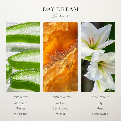 Hotel Diffuser Oil | Aromatherapy Fragrances Inspired by 5-Star Hotels | Luxurious Scents with Notes of Cardamom, Tuscan Leather, and Sandalwood (20ml, Top 3 Scents)