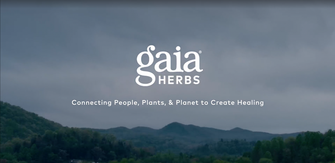 Gaia Herbs Menopause Support Daytime - Helps Maintain Hormone Balance and Well-Being for Women - with Vitex, Black Cohosh, St. John’s Wort, and Oats - 60 Vegan Liquid Phyto-Capsules (20-Day Supply)