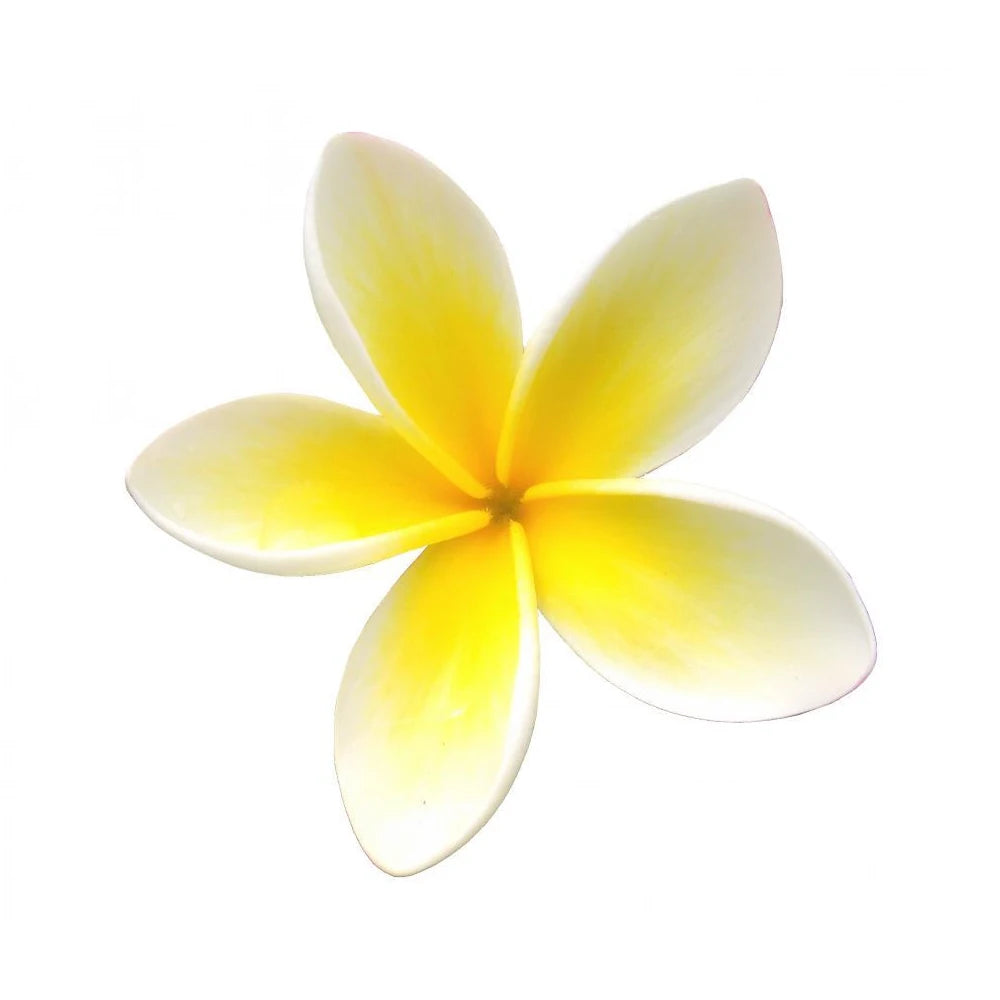 oroaroma natural aromatherapy Frangipani oil Clean air Repel mosquitoes perfume material Frangipani Essential oil